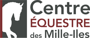Logo CEMI